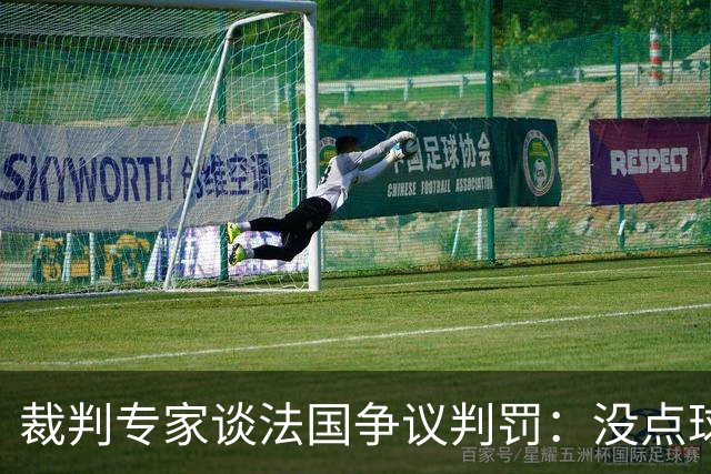 裁判专家谈法国争议判罚：没点球是对的 姆巴佩被轻轻碰了就倒地
